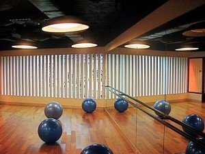 Healthcare Professionals Starting Private Practices - image - fitness room with exercise balls