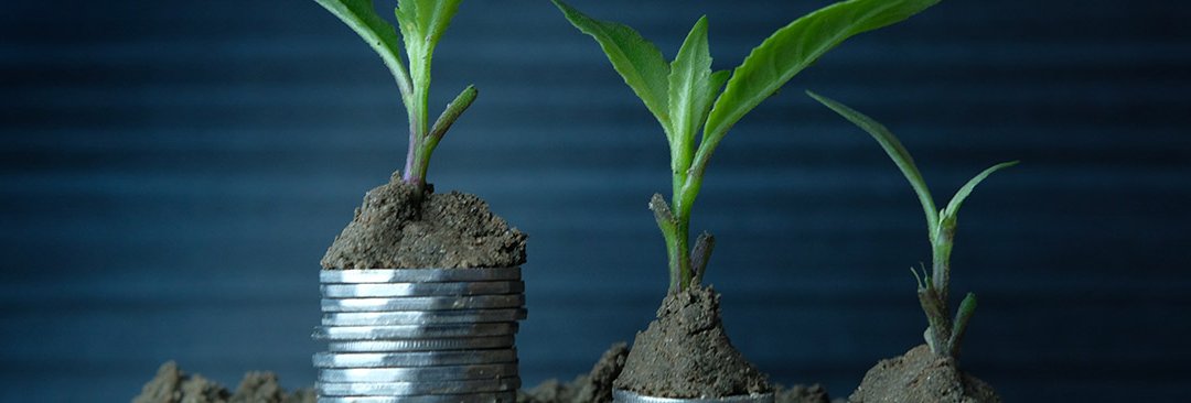 Sustainable business practices for SMEs image - stacked 50 pence pieces with plant on top