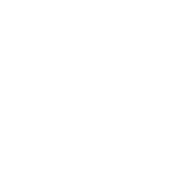 white phone call icon